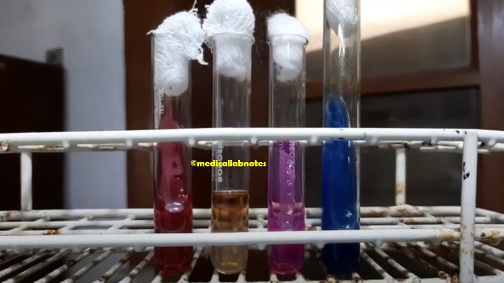 Acinetobacter baumannii calcoaceticus complex Biochemical Tests Demonstration