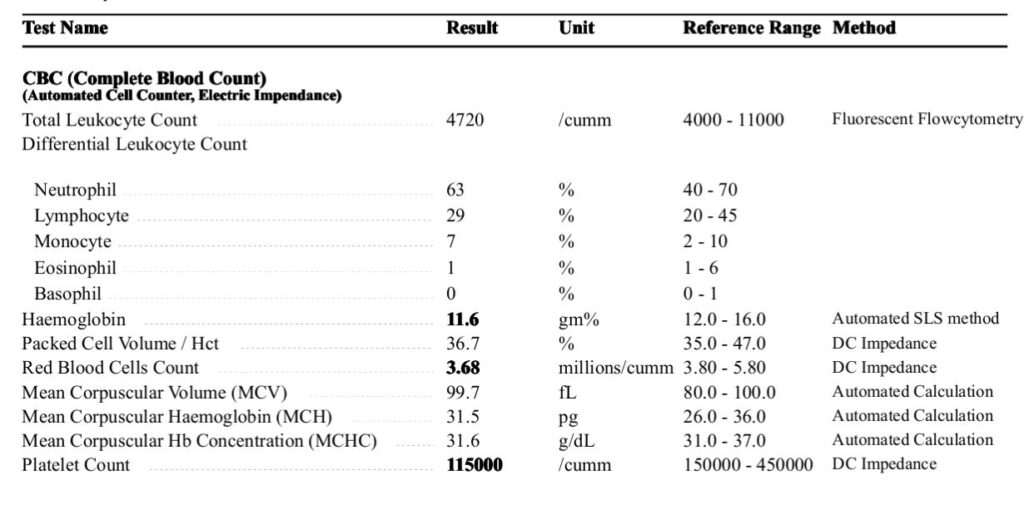 Complete Blood Count (CBC) Result, Unit, Reference Range, and Testing Methods