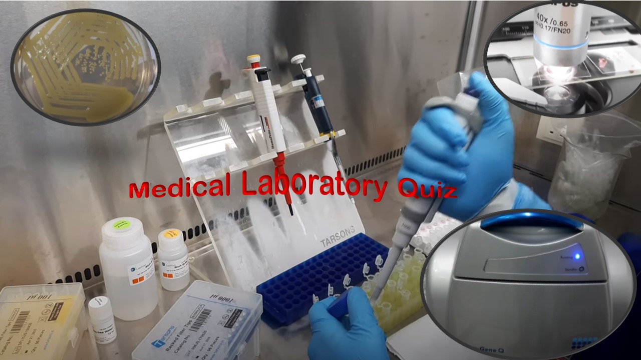 Medical Laboratory Quiz: Introduction and List of Contents