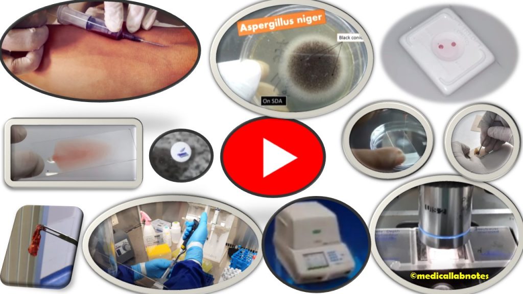 Medical Laboratory Videos- Introduction, List of Contents with Description