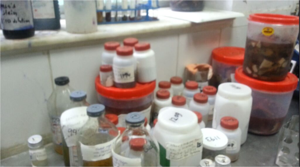Histopathology and Cytopathology Laboratory: Introduction, List of Tests, Specimen, Testing Method, and Keynotes