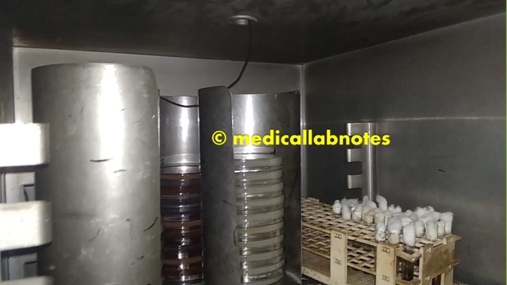  AST Plates, Microbial specimens inoculated culture media ( Blood agar, MacConkey medium, Chocolate agar), Biochemical tests media in Bacteriological Incubator 