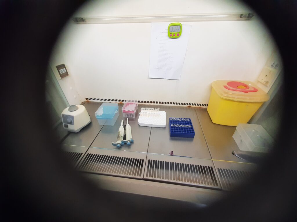 Specimen preparation of Dengue virus RNA extraction in bio-safety cabinet