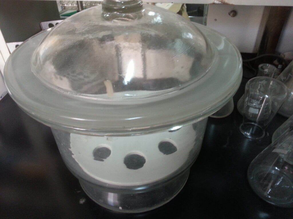 Candle Jar for Bacteria