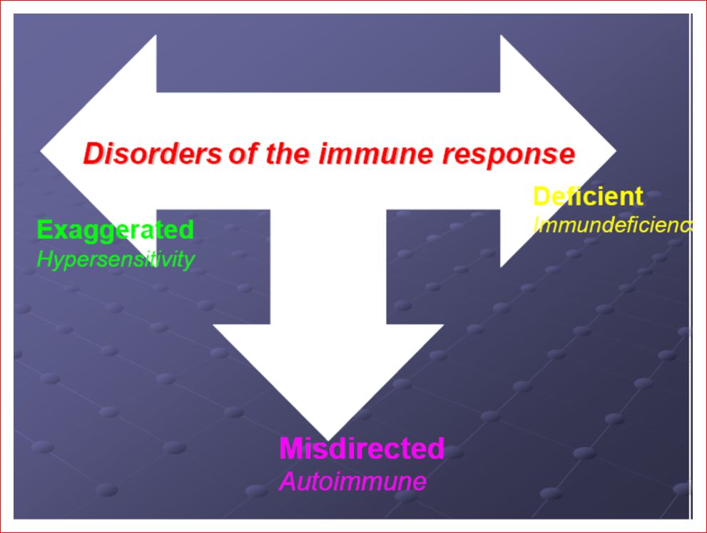 Disorder of the immune response