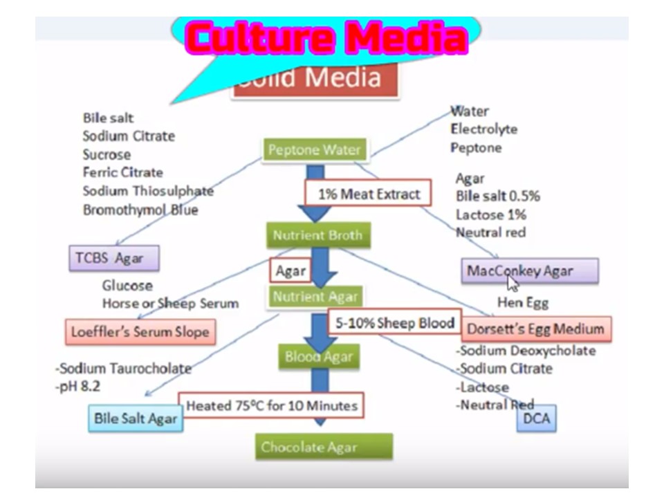 Solid Culture Media Composition Flowchart