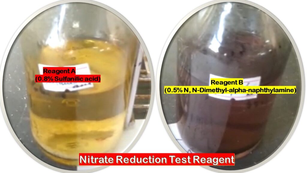 Nitrate Reduction Test Reagents A and B