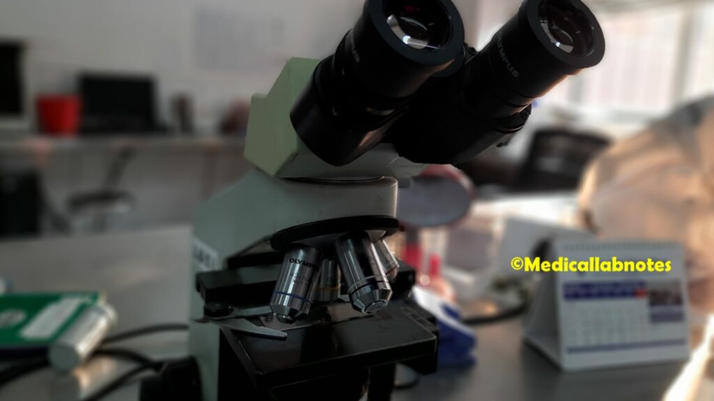 Compound Microscope- Introduction, Principle, Parts, Uses, Care and Maintenance, and Keynotes_