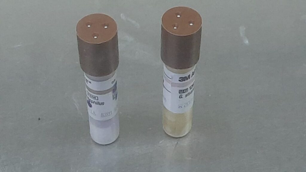 Geobacillus stearothermophilus (formerly Bacillus stearothermophilus) is the most commonly used biological indicator (BI) organism for monitoring steam sterilization (autoclaving)