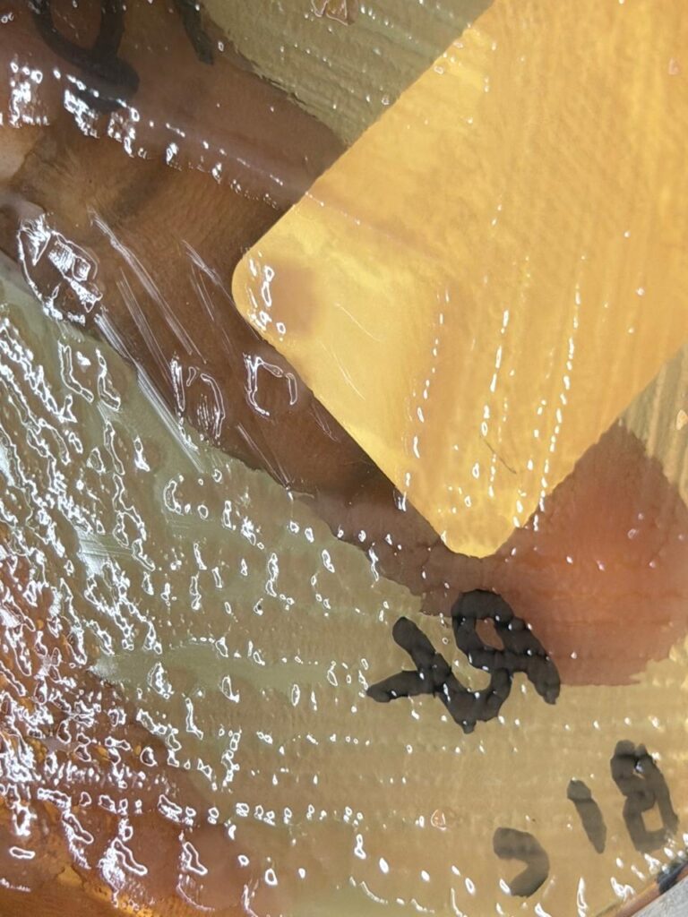 Enterobacter cloacae complex colony morphology on MacConkey agar