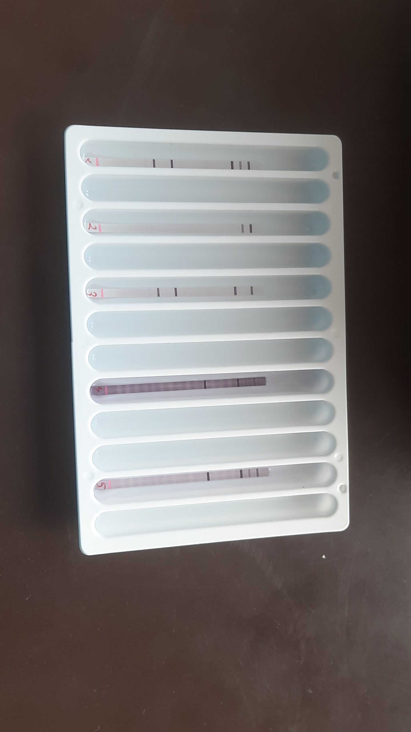 Line Probe Assay (LPA) for Tuberculosis -Introduction, Principle, Test Requirements, Procedure, Result-Interpretation, and Keyno