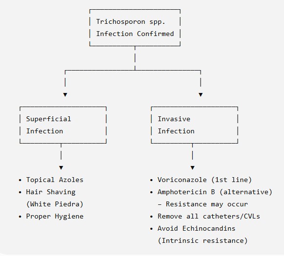 Flowchart-Management of Trichosporon Infection