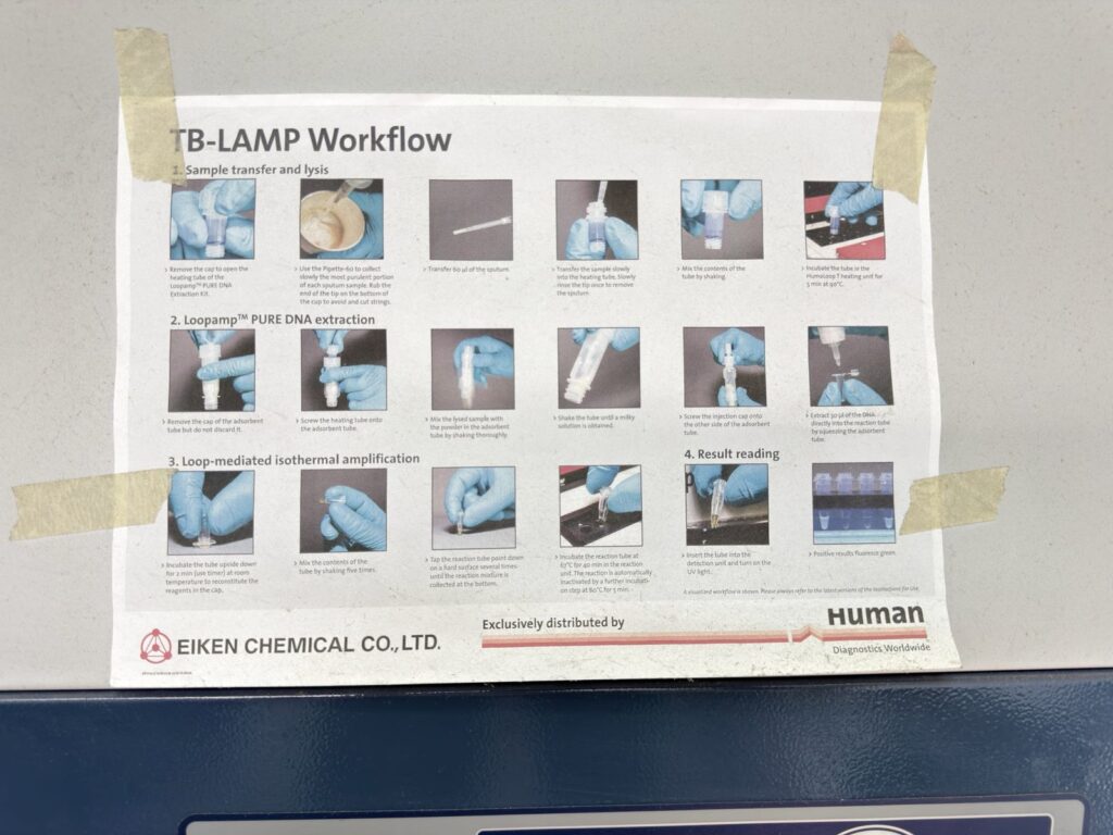 TB-LAMP Flowchart