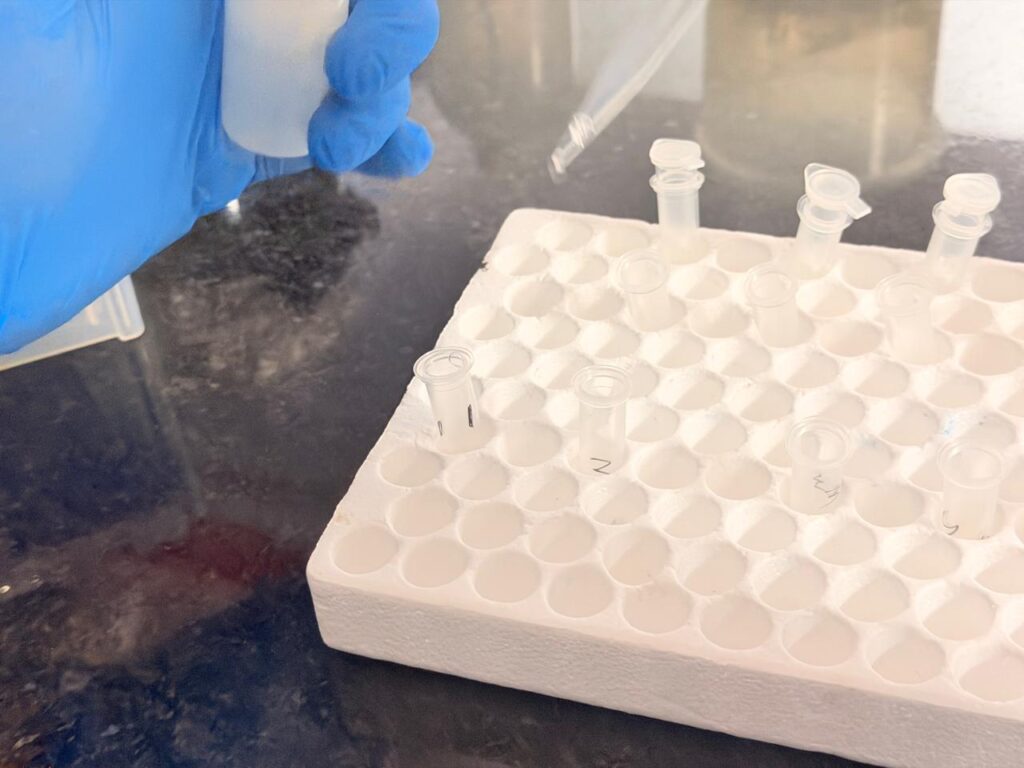 Adding 1,200 µl of Genomic Lysis Buffer directly to the filtered lysate in the collection tubes