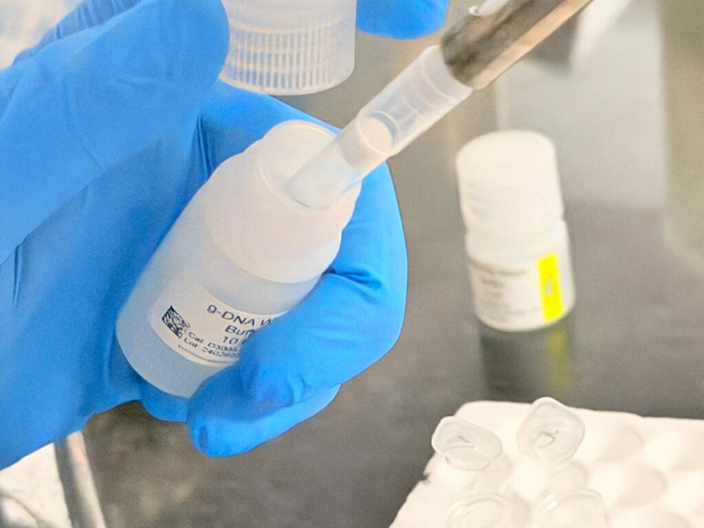 Adding 500 µl g-DNA Wash Buffer to the column