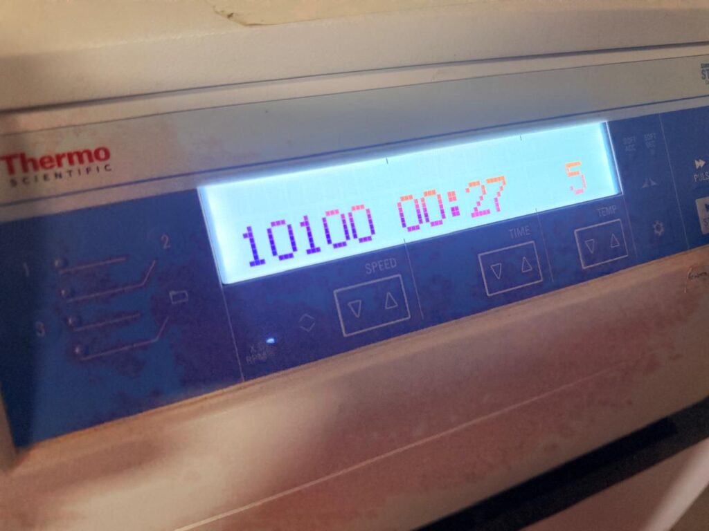 Centrifuging the tubes at ≥ 10,000 x g for 1 minute.