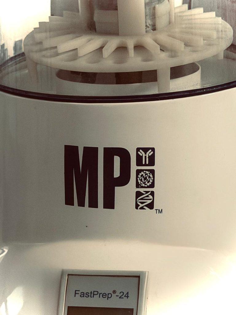 MP Fastprep-24™ (Classic & 5G) with 2 ml BashingBead™ TubesMaximum of 20 tubes. The weight of > 20 tubes may cause a system error.1 minute on at 6.5 m/s5 minutes restRepeat cycle 5 times for a total of 5 minutes of bead beating