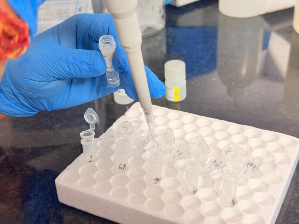 Placed the column into a clean 1.5 mL tube. and adding 100 µl DNA Elution Buffer directly to the center filter matrix.