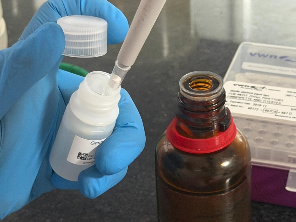 Preparation of lysis buffer using 100% beta-mercaptoethanol (to a final dilution of 0.5%, vv), i.e., 50 µl per 10 ml
