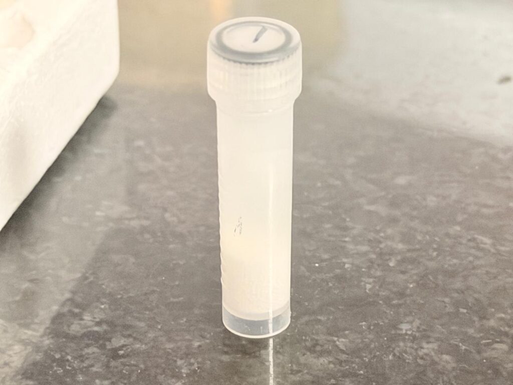 The lysis tube after centrifugation at 10,000 × g for 1 minute