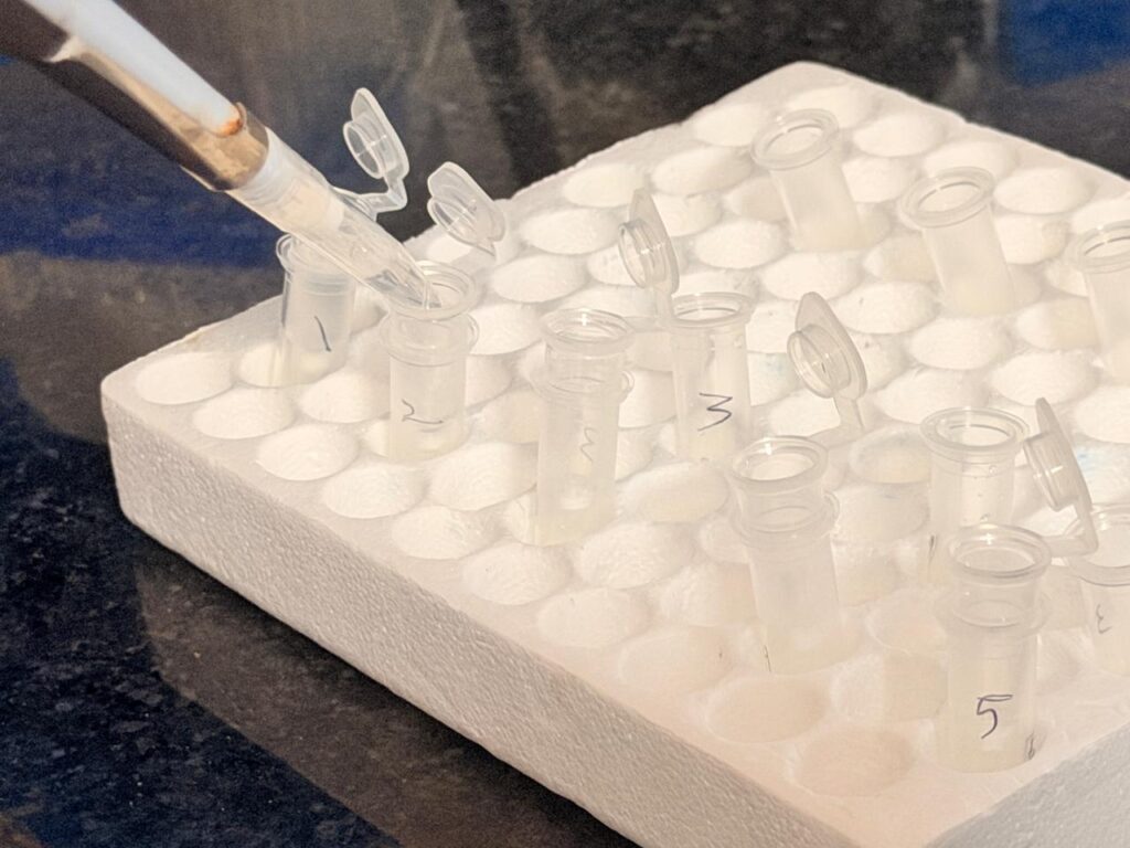 Transferring 800 µl of this mixture into a Zymo-Spin™ IICR Column